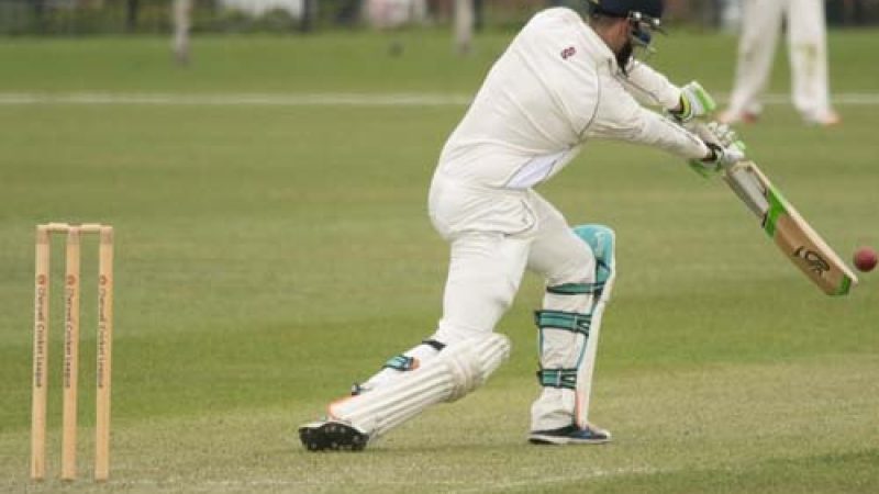 Cricket